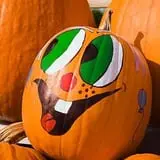 Goebbert's Pumpkin Patch photo
