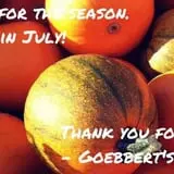 Goebbert's Pumpkin Patch photo