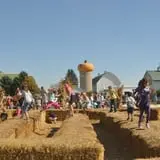 Goebbert's Pumpkin Patch photo