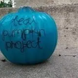 Goebbert's Pumpkin Patch photo