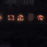 Goebbert's Pumpkin Patch photo