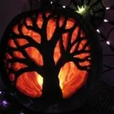 Goebbert's Pumpkin Patch photo