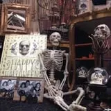 Goebbert's Pumpkin Patch photo