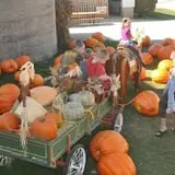 Goebbert's Pumpkin Patch photo