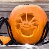 Goebbert's Pumpkin Patch photo