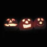 Goebbert's Pumpkin Patch photo