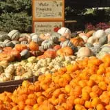 Goebbert's Pumpkin Patch photo