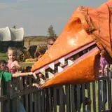 Goebbert's Pumpkin Patch photo