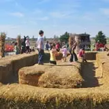Goebbert's Pumpkin Patch photo