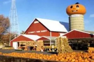 Goebbert's Pumpkin Patch