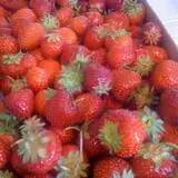 Garden Hills Farm photo