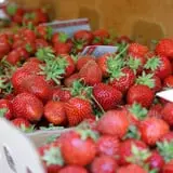 Garden Hills Farm photo