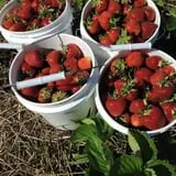 Garden Hills Farm photo