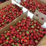 Garden Hills Farm photo