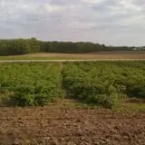 Garden Hills Farm photo
