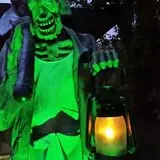 Misdom Manor photo