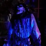 Misdom Manor photo