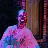 Misdom Manor photo
