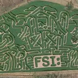 Southern Promiseland Farm Corn Maze & Pumpkins photo