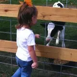 Southern Promiseland Farm Corn Maze & Pumpkins photo