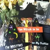 Maugeri's Farm Market Hayrides & Pumpkin Patch photo