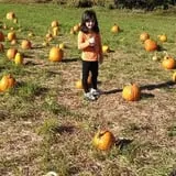 Maugeri's Farm Market Hayrides & Pumpkin Patch photo