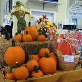 Maugeri's Farm Market Hayrides & Pumpkin Patch photo