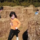 Maugeri's Farm Market Hayrides & Pumpkin Patch photo