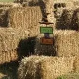 Maugeri's Farm Market Hayrides & Pumpkin Patch photo