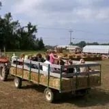 Maugeri's Farm Market Hayrides & Pumpkin Patch photo