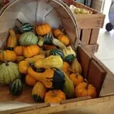 Maugeri's Farm Market Hayrides & Pumpkin Patch photo