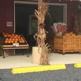 Maugeri's Farm Market Hayrides & Pumpkin Patch photo