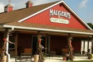 Maugeri's Farm Market Hayrides & Pumpkin Patch