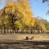 Little Munchkins Pumpkin Patch photo