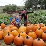 Little Munchkins Pumpkin Patch photo