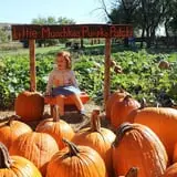 Little Munchkins Pumpkin Patch photo