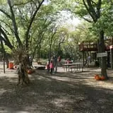 Little Munchkins Pumpkin Patch photo