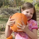 Little Munchkins Pumpkin Patch photo