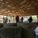 Little Munchkins Pumpkin Patch photo