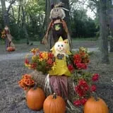 Little Munchkins Pumpkin Patch photo