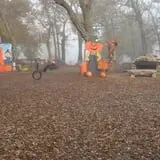 Little Munchkins Pumpkin Patch photo