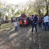 Little Munchkins Pumpkin Patch photo