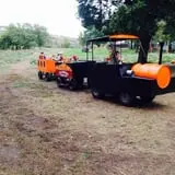 Little Munchkins Pumpkin Patch photo