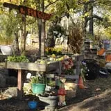 Little Munchkins Pumpkin Patch photo