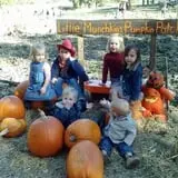 Little Munchkins Pumpkin Patch photo