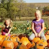 Little Munchkins Pumpkin Patch photo
