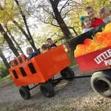 Little Munchkins Pumpkin Patch photo