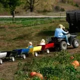 Little Munchkins Pumpkin Patch photo