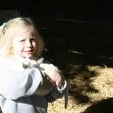 Little Munchkins Pumpkin Patch photo