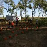 Little Munchkins Pumpkin Patch photo